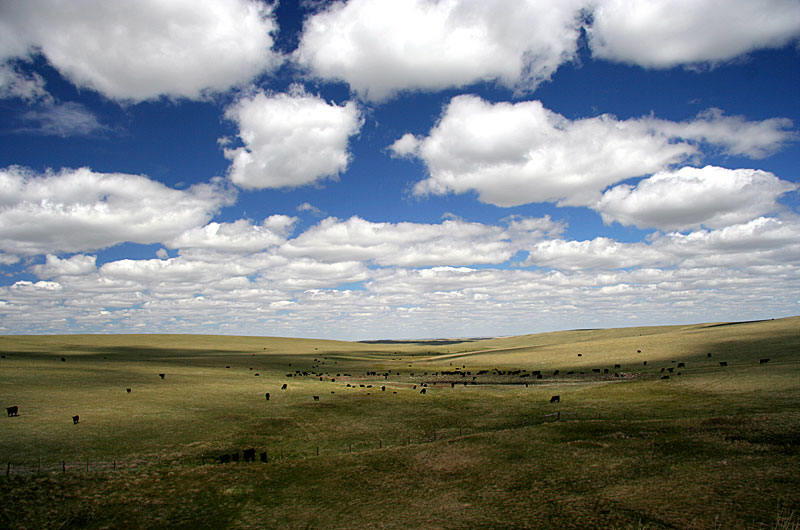 Descending out of Glacier National Park from the east of the park you enter the Great Plains in Northern Montana